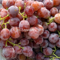 nuevas uvas rojas frescas